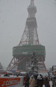 Sapporo Snow Festival  2013 (3)