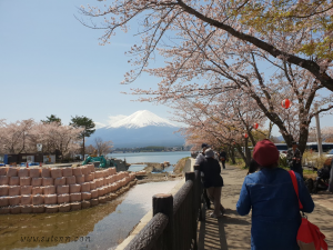  Kogamasao Memorial Park