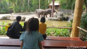 Singapore Zoo