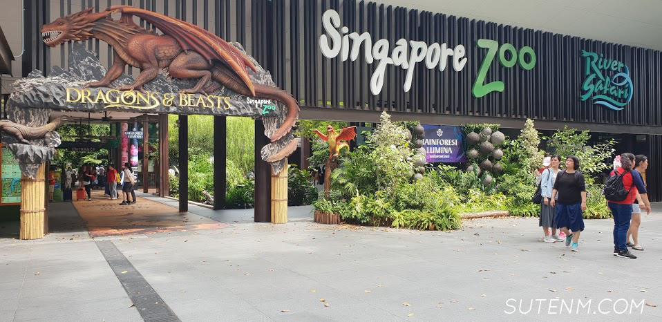 เทียวสวนสัตว์สิงคโปร์ Singapore Zoo , River Safari ใน 1 วัน