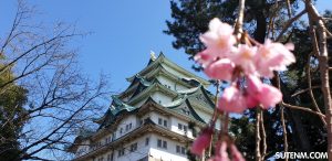 Sakura Nagoya Castle