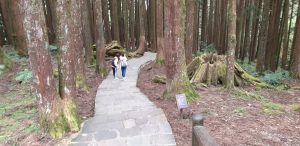 Alishan National Forest Recreation Area