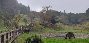 Alishan National Forest Recreation Area